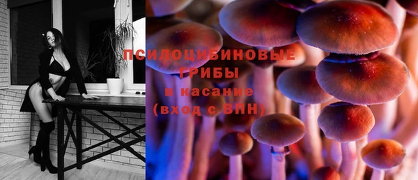 каннабис Алзамай