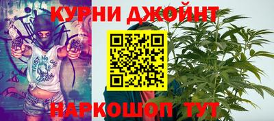 шишки Коммунар