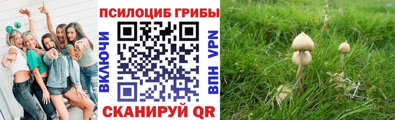 купить  сайты  Куйбышев  Галлюциногенные грибы мухоморы 