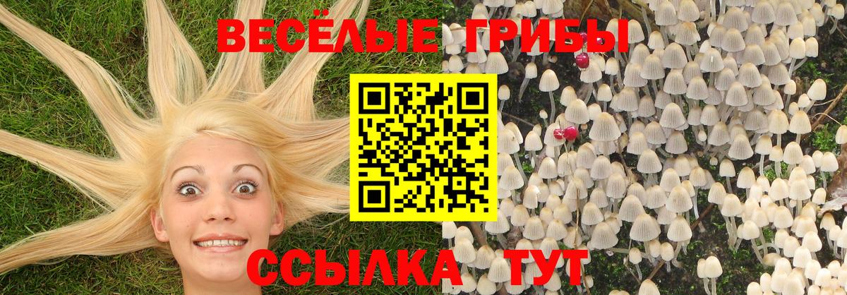 Куйбышев  где купить наркоту  Вход с VPN  Псилоцибиновые грибы Magic Shrooms  Псилоцибиновые грибы мицелий 